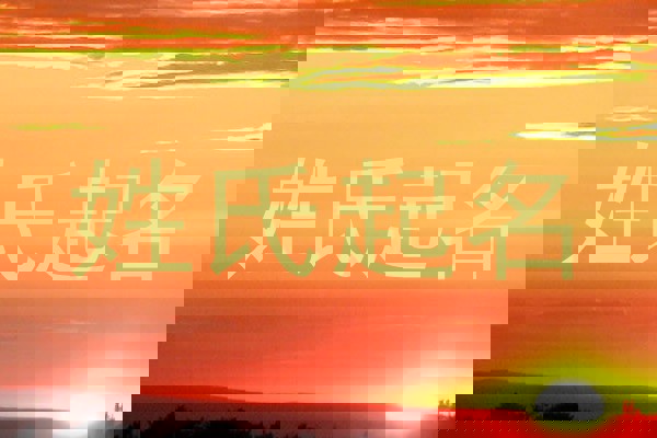 姓氏起名