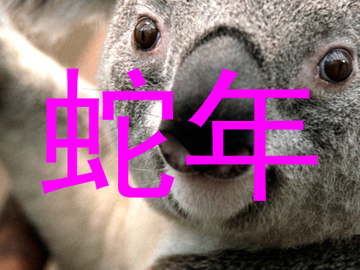 蛇年