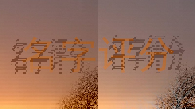 名字评分