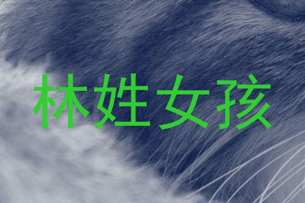 林姓女孩