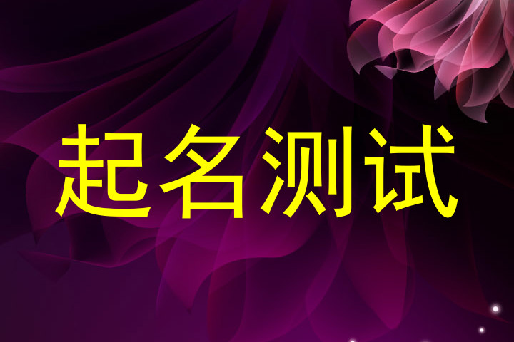 起名测试
