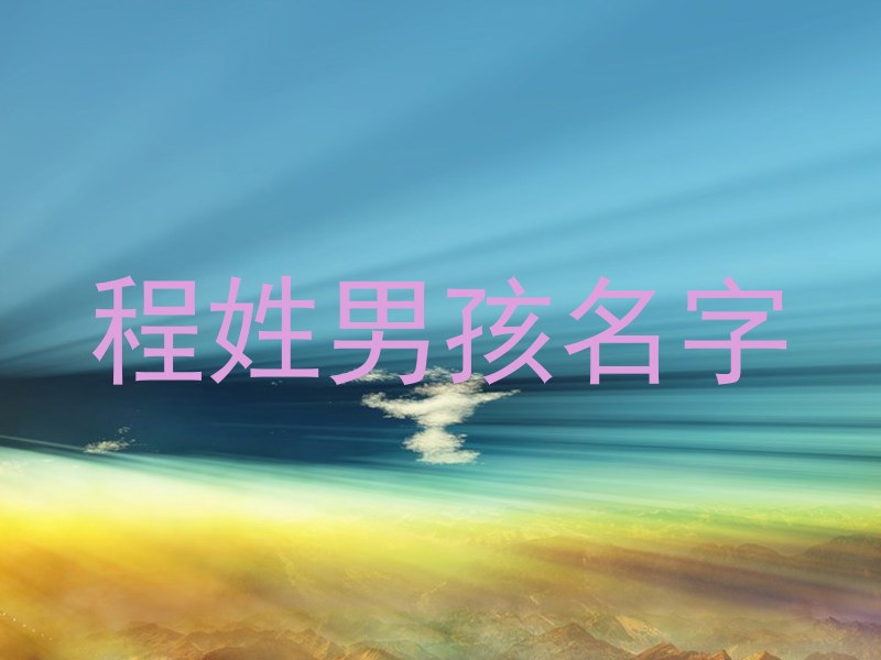 程姓男孩名字