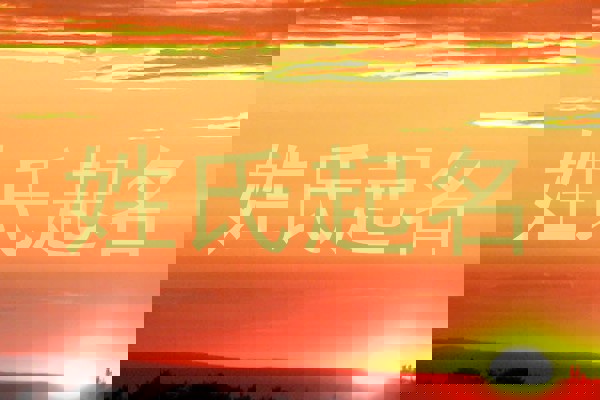 姓氏起名