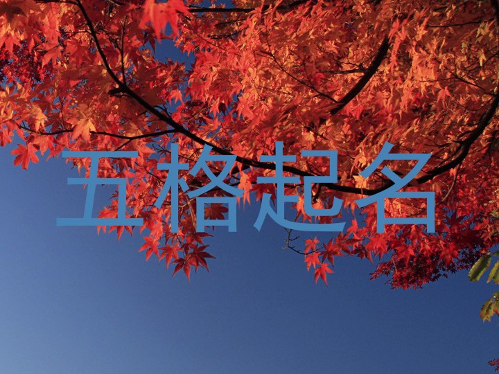 五格起名