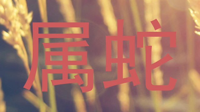属蛇