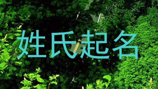 姓氏起名