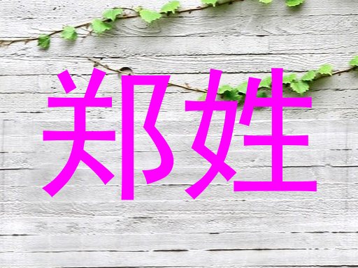 郑姓