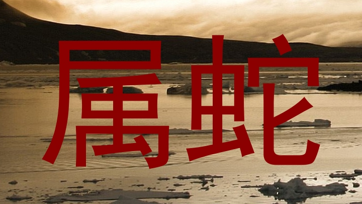 属蛇