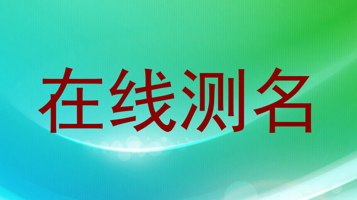 在线测名