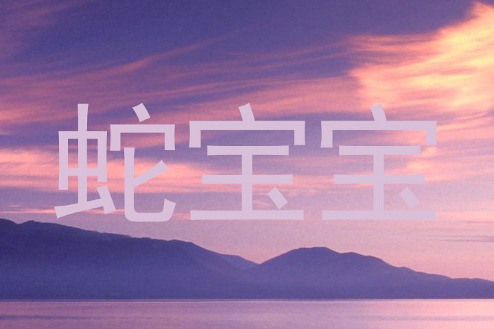 蛇宝宝
