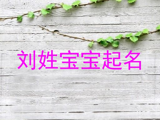 刘姓宝宝起名