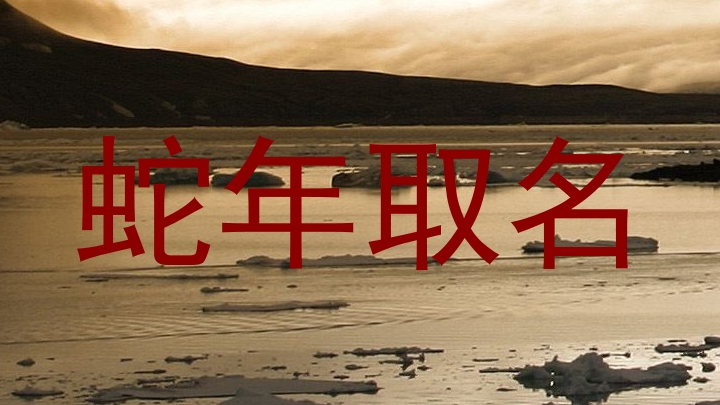 蛇年取名