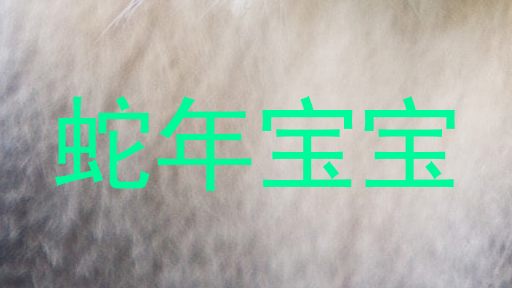 蛇年宝宝