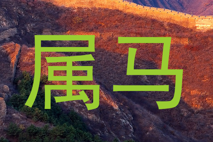 属马