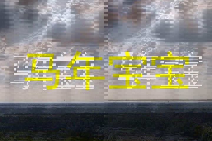 马年宝宝