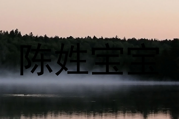 陈姓宝宝