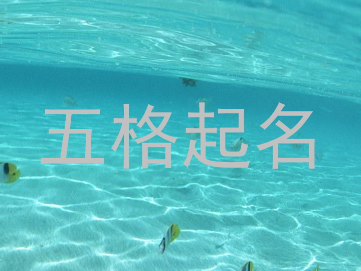 五格起名
