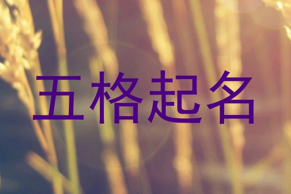 五格取名软件