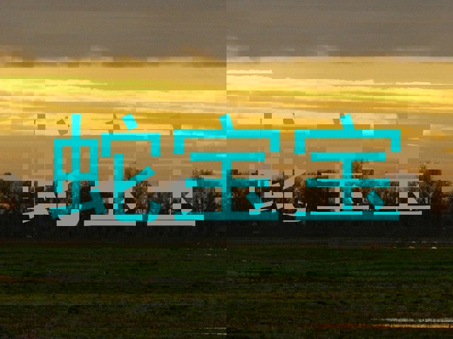 蛇宝宝