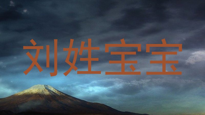 刘姓宝宝