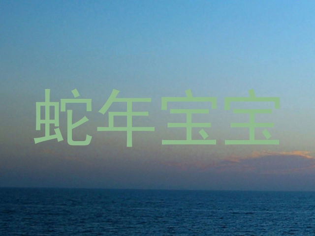 蛇年宝宝