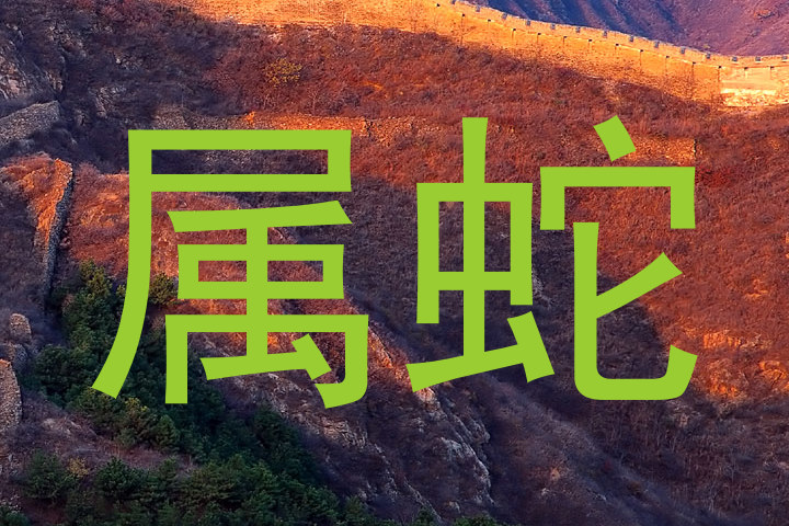 属蛇