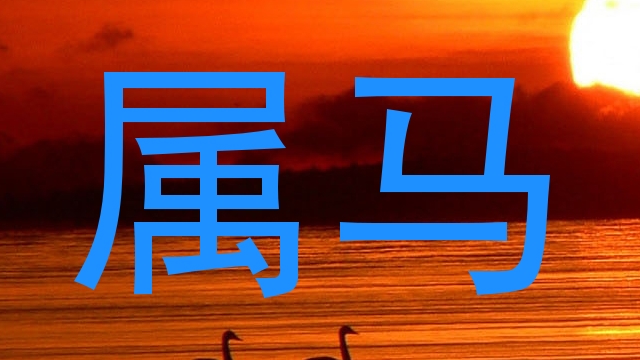 属马