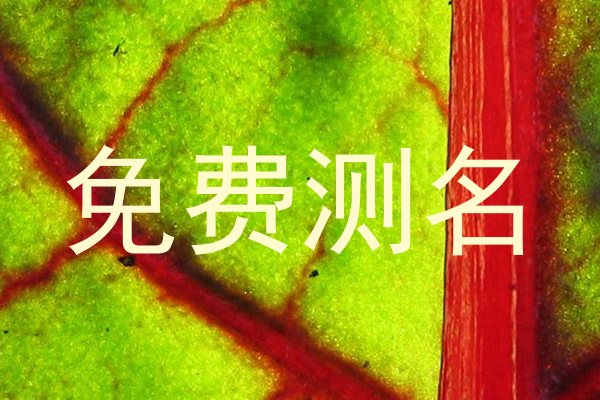 免费测名