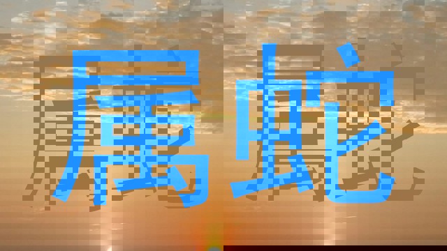 属蛇