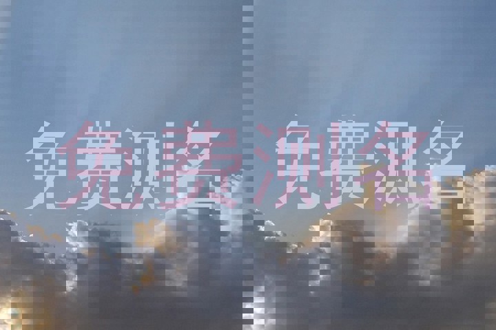 免费测名