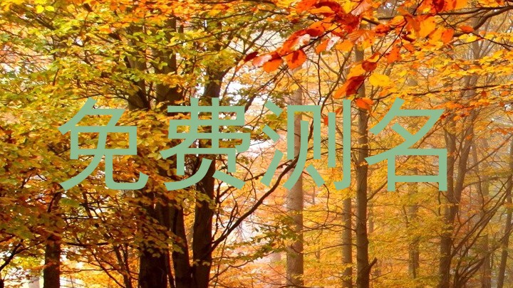 免费测名