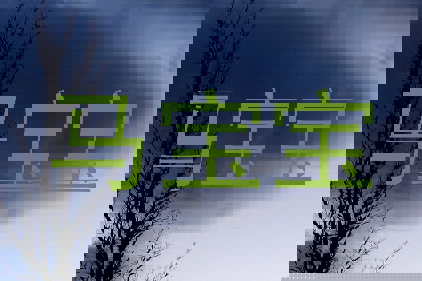 马宝宝