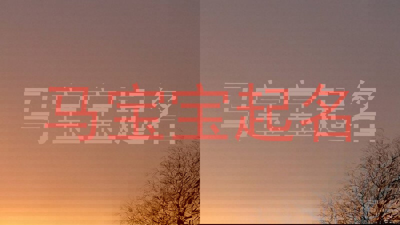 马宝宝起名
