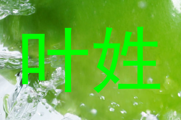 叶姓