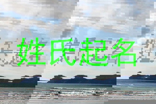 姓氏起名