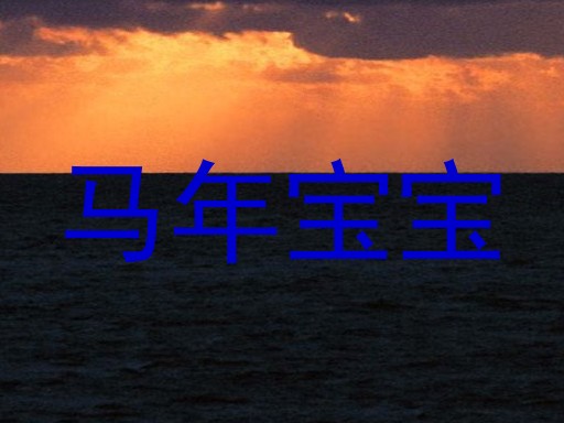 马年宝宝