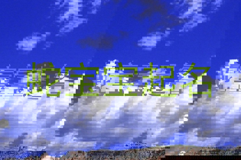 蛇宝宝起名