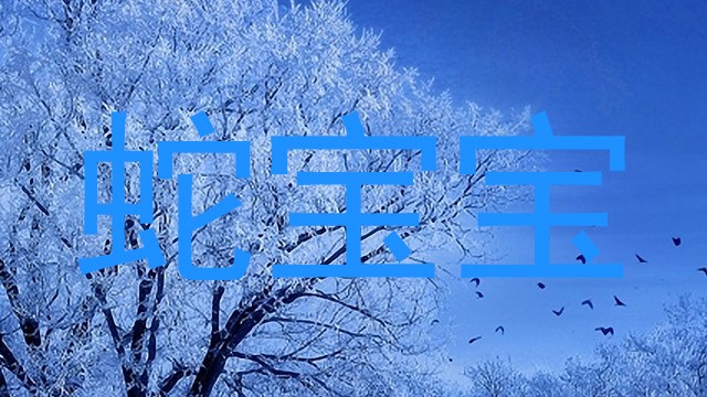 蛇宝宝