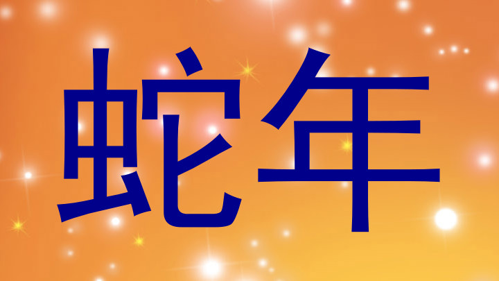 蛇年