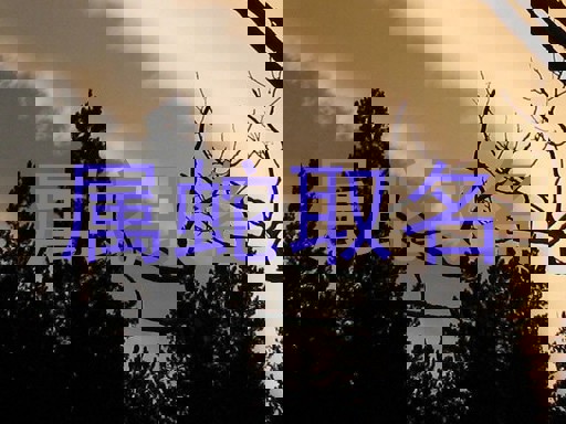 属蛇取名