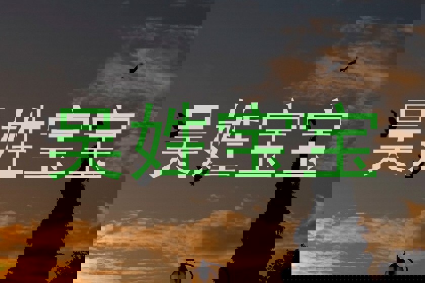 吴姓宝宝