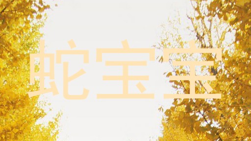 蛇宝宝