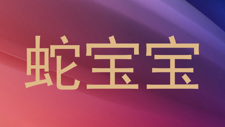 蛇宝宝