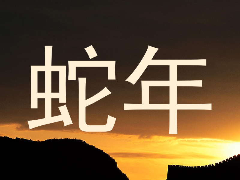 蛇年