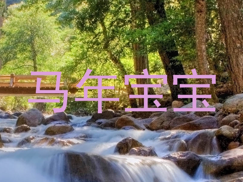 马年宝宝