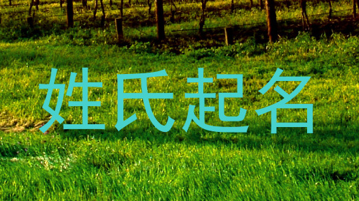 姓氏起名