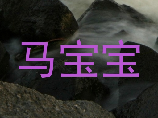 马宝宝