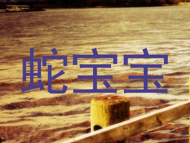 蛇宝宝