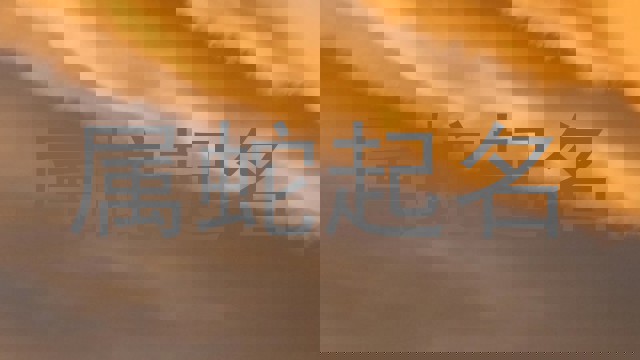 属蛇起名