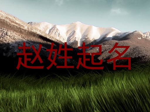 赵姓起名